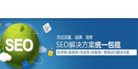 济南专业seo软件