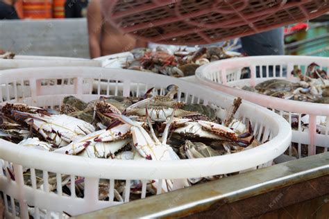 海南哪个市场海鲜最便宜