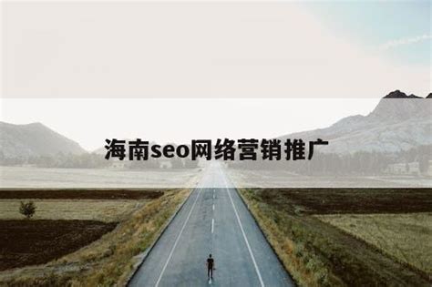 海南seo网络营销