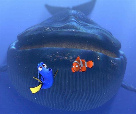 海底总动员犄角鲸