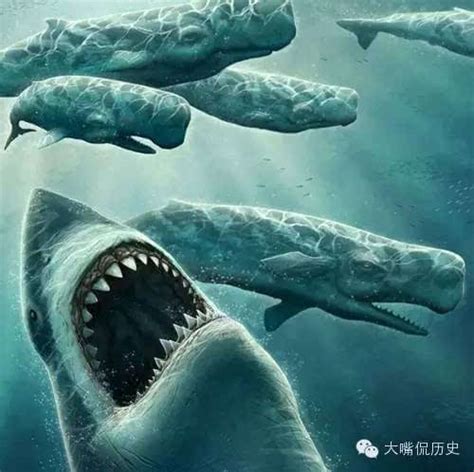 海洋5大恐怖巨兽图片