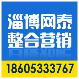 淄博淄川网站优化网络推广