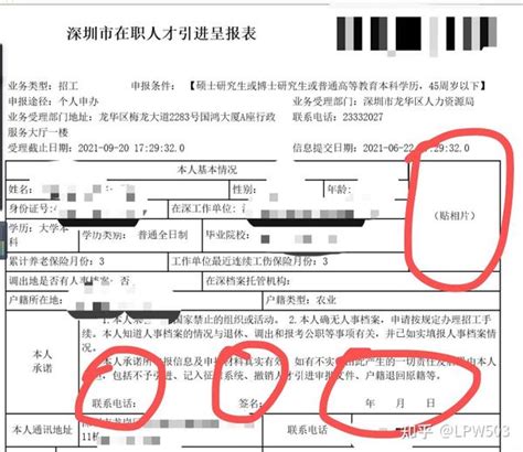 深圳在职人才呈报表怎么打印