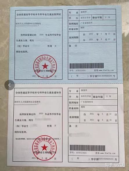 深圳学历落户流程