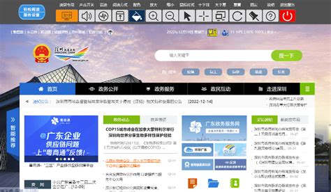 深圳政府网站平台建设标准