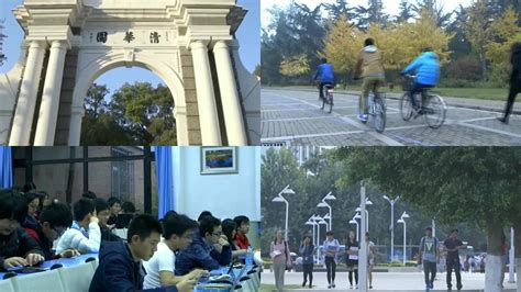 清华北大重点大学的学生父母职业