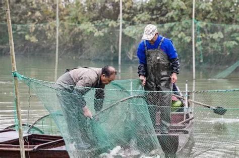 渔民一年捞起7个可疑偷蜜装置