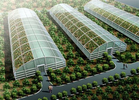 温室大棚立体种植养殖