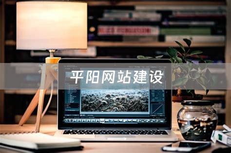温州平阳县商用高端网站设计