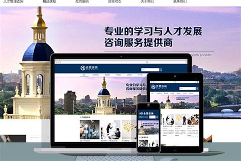 渭南网站建设行业现状