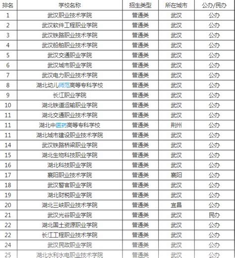 湖北省专科学校排名表
