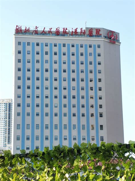湖北省人民医院陶海鹰