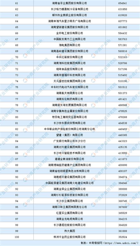 湖南企业排名100强名单