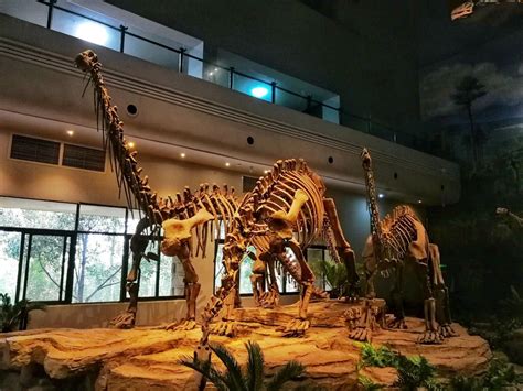 湖南恐龙化石博物馆在哪里