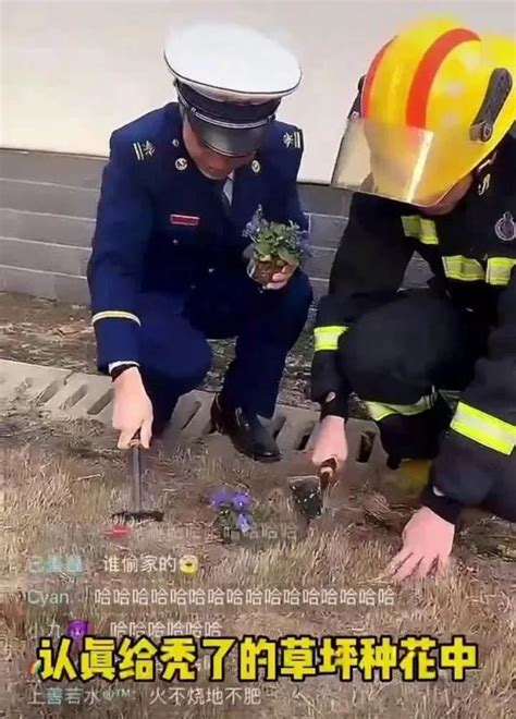 湖南消防家被偷原视频