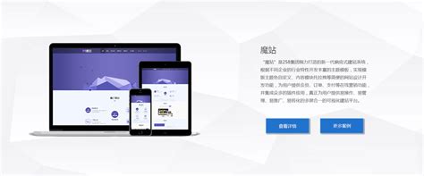 漳州网站推广开发