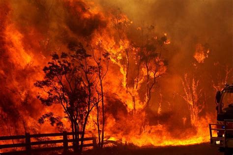 澳大利亚为什么发生大火