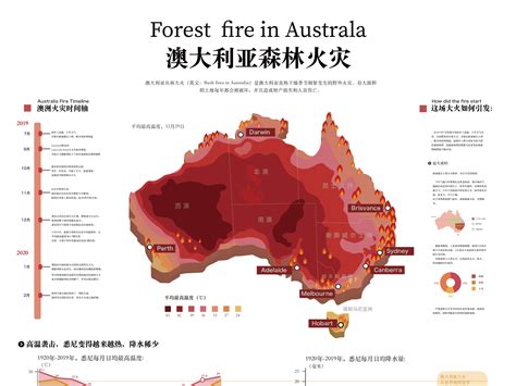 澳大利亚森林大火最新情况