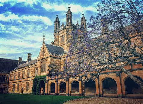 澳大利亚西悉尼大学在澳洲排名