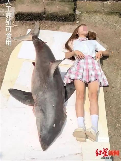 烹食大白鲨网红博主发视频道歉