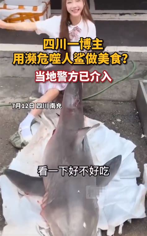 烹食大白鲨 网红被定罪