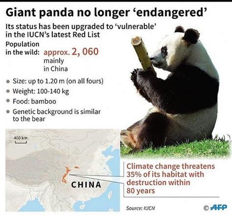 熊猫濒危信息