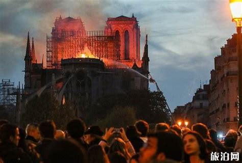 燃烧的巴黎圣母院开头图片