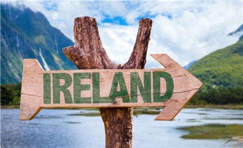 爱尔兰出国留学流程