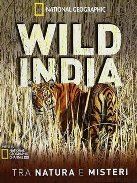 狂野动物印度