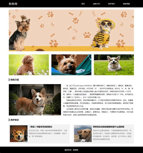 狗狗网站页面设计