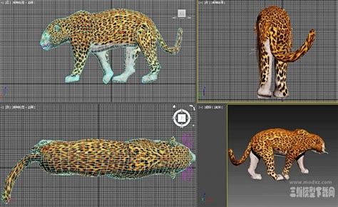 猎豹模型设计图