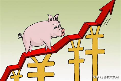 猪价上涨最新情况