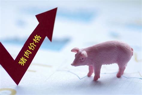 猪价反弹上涨是上涨潮吗