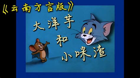 猫和老鼠云南方言版合集
