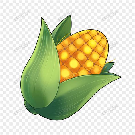 玉米商标名称大全