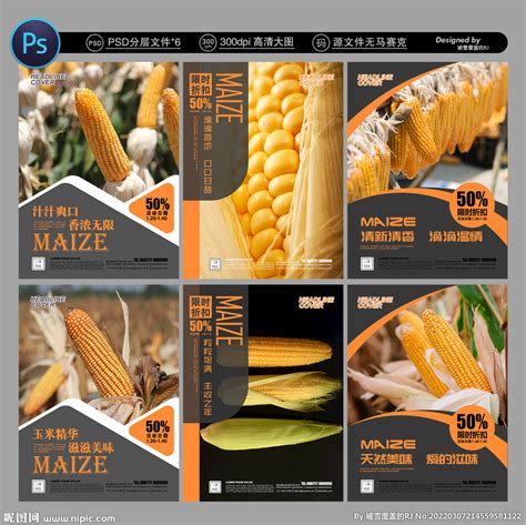 玉米种子广告图片横幅