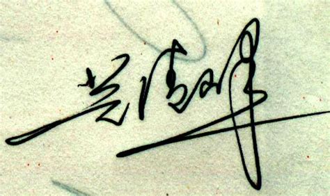 王松的艺术签名