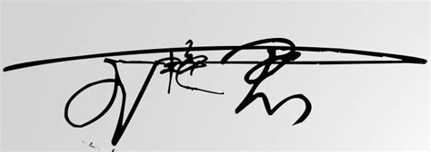 王艳的艺术签名写法
