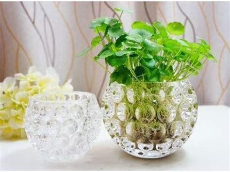 玻璃水培植物花盆制作方法
