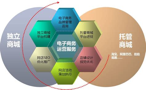 电子商务seo推广运营模式有哪些