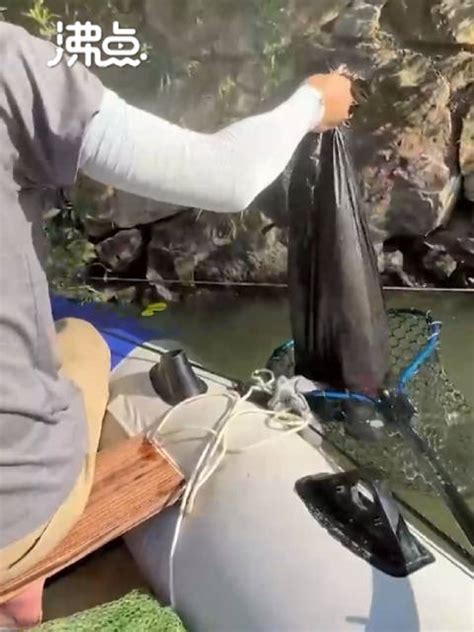 男子钓鱼救下被裹塑料袋扔河的猫