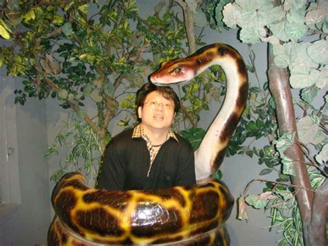 男性梦中遇见蟒蛇缠身