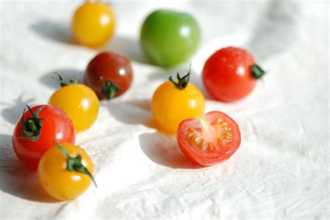 番茄不能和什么蔬菜混种