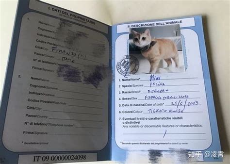 白俄罗斯宠物回国需要什么手续