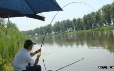白天钓鱼时间段