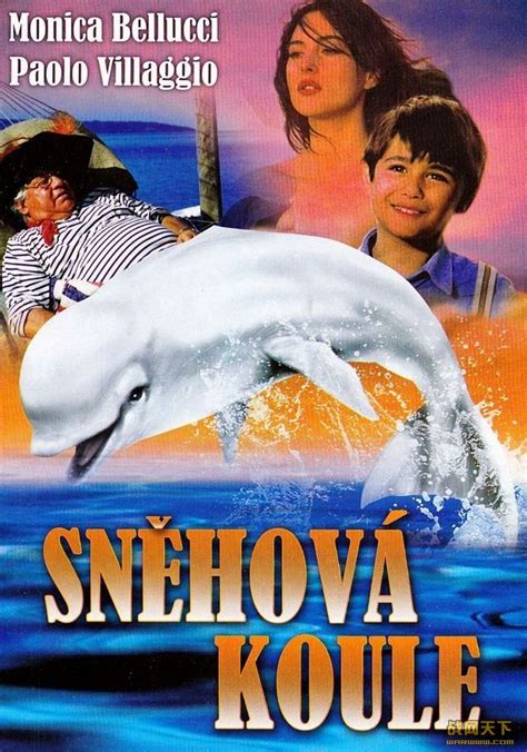 白海豚电影完整版