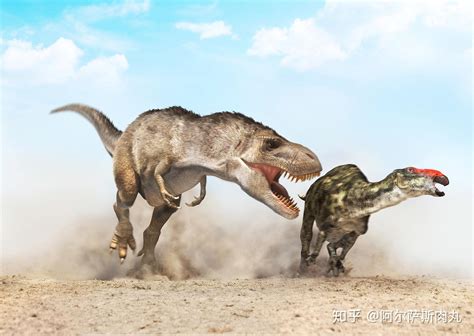 真的恐龙已经灭绝了吗