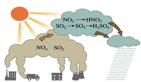 硫化氢和二氧化硫显什么性
