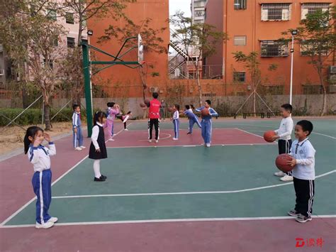 社区儿童篮球活动培训总结