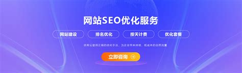 福建省网站推广托管外包